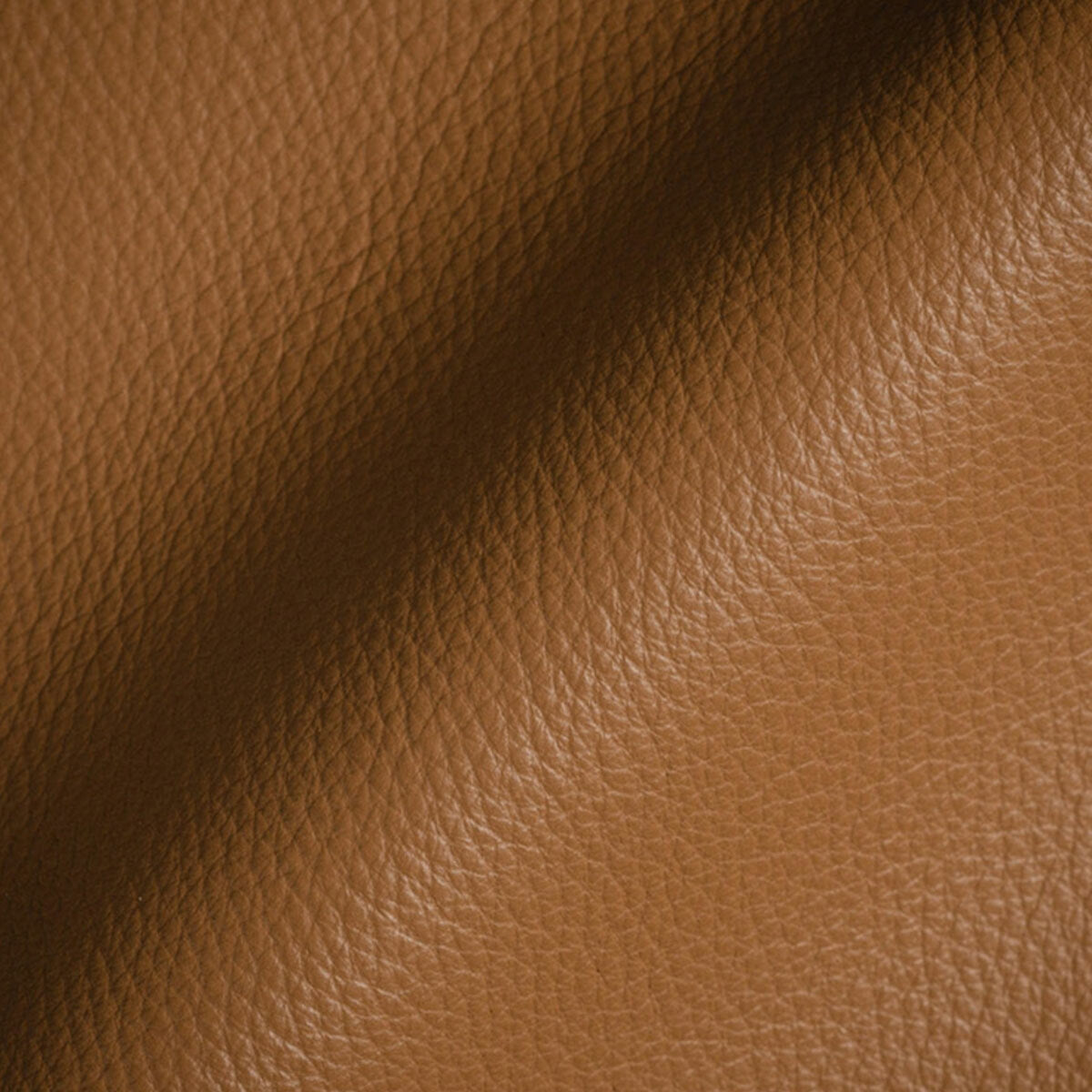 Bolo Desk Chair