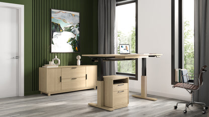 Linear Credenza